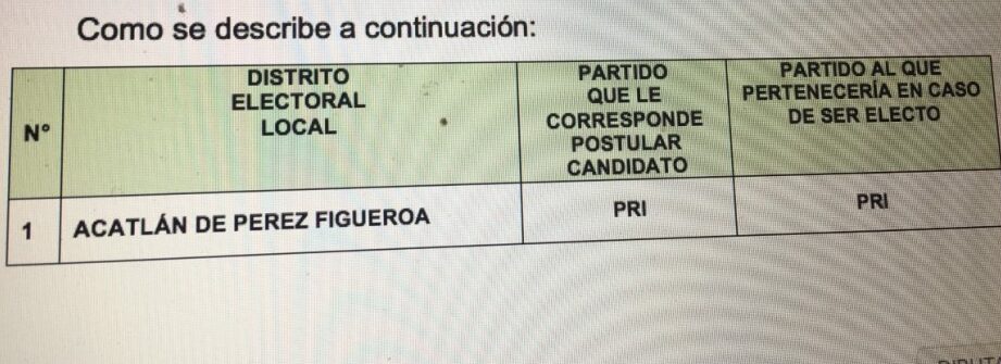 ¿Por qué se llaman diputados? ¿Por qué se llaman diputados?