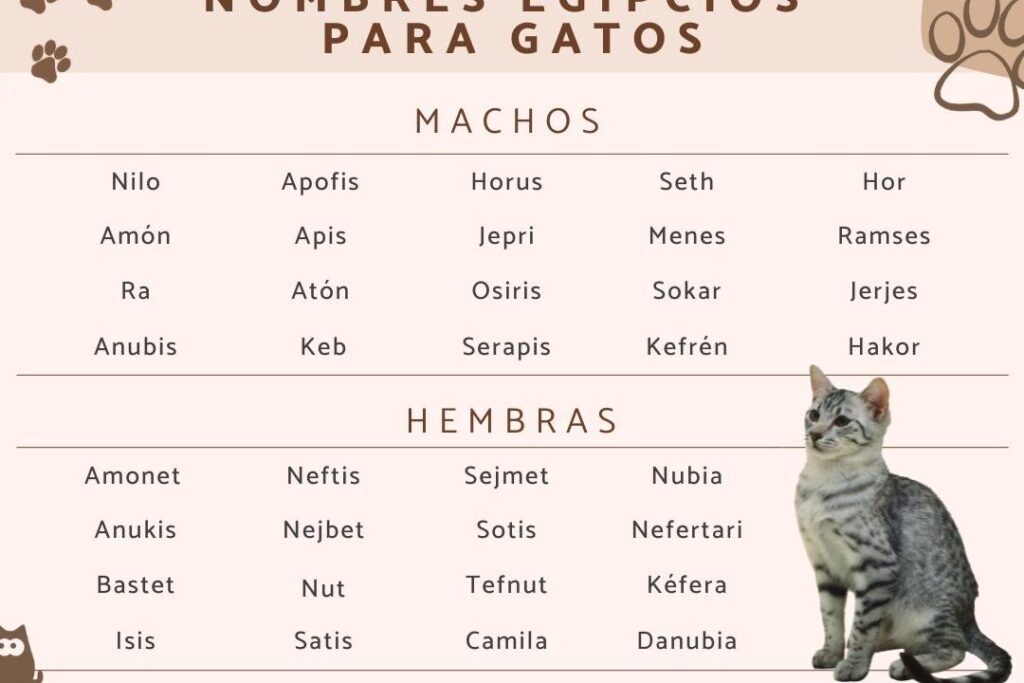¿Por qué se llaman faraones y no reyes? ¿Por qué se llaman faraones y no reyes?