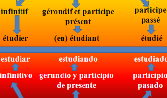 ¿Por qué se llaman formas nominales del verbo? ¿Por qué se llaman formas nominales del verbo?