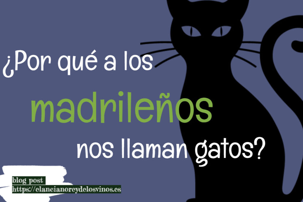 ¿Por qué se llaman gatos? ¿Por qué se llaman gatos?