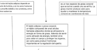 ¿Por qué se llaman helénos los griegos? ¿Por qué se llaman helénos los griegos?