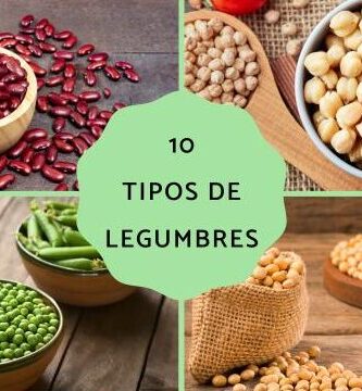 ¿Por qué se llaman judías a las alubias?