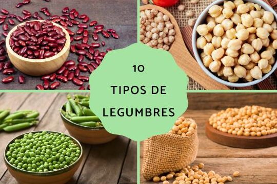¿Por qué se llaman judías a las alubias? ¿Por qué se llaman judías a las alubias?