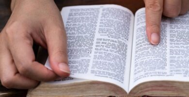 ¿Por qué se llaman libros poéticos? ¿Por qué se llaman libros poéticos?