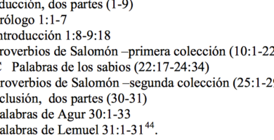 ¿Por qué se llaman libros sapienciales? ¿Por qué se llaman libros sapienciales?