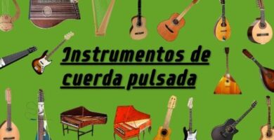 ¿Por qué se llaman los instrumentos de cuerda percutida?