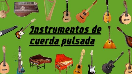 ¿Por qué se llaman los instrumentos de cuerda percutida?