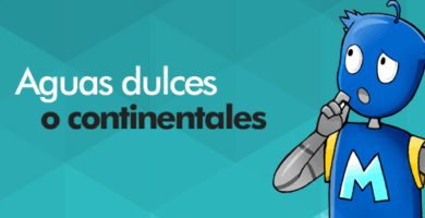 ¿Por qué se llama agua dulce? ¿Por qué se llama agua dulce?