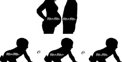 ¿Por qué se llama al factor Rh así?