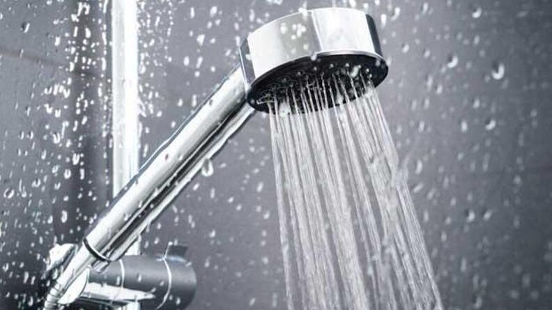 ¿Por qué se llama alcachofa ducha? ¿Por qué se llama alcachofa ducha?