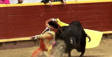 ¿Por qué se llama maestro al torero? ¿Por qué se llama maestro al torero?