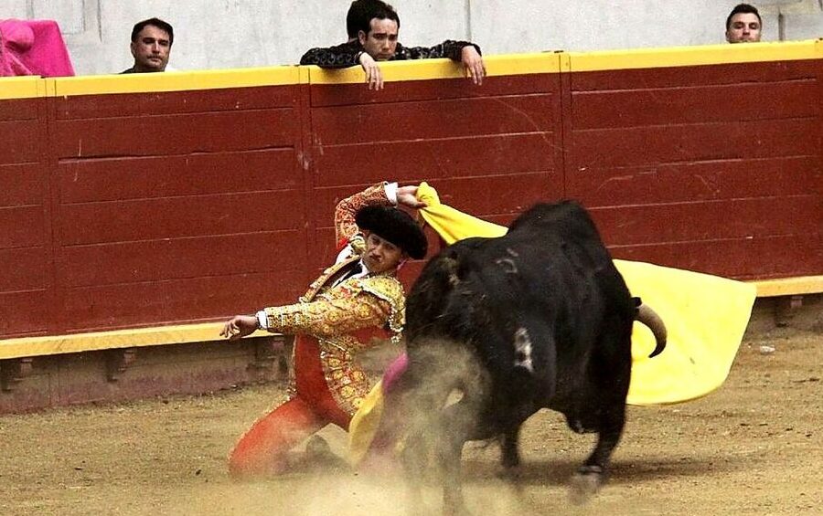 ¿Por qué se llama maestro al torero? ¿Por qué se llama maestro al torero?