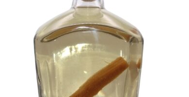 ¿Por qué se llama mezcal de pechuga? ¿Por qué se llama mezcal de pechuga?