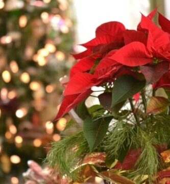 ¿Por qué se llama Pascua a la Navidad?