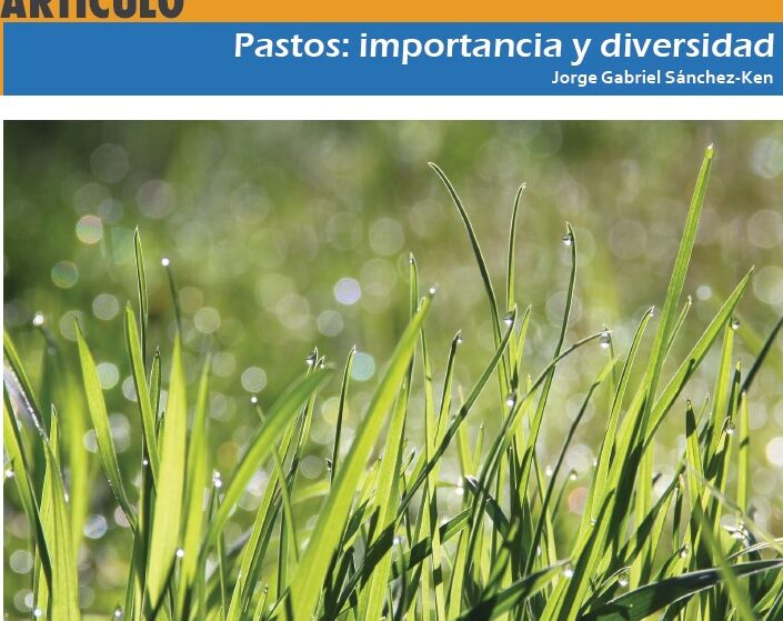 ¿Por qué se llama Pastos del Botánico? ¿Por qué se llama Pastos del Botánico?