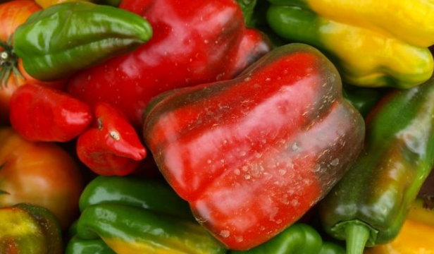 ¿Por qué se llama pimiento morrón?