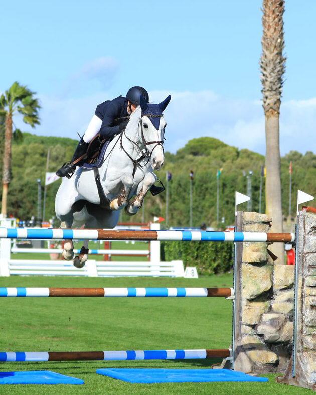 ¿Por qué se llama salto del caballo? ¿Por qué se llama salto del caballo?