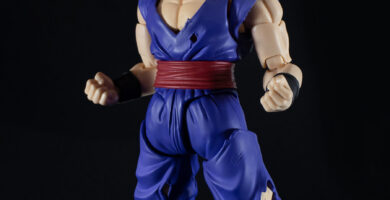 ¿Por qué se llama Son Gohan?