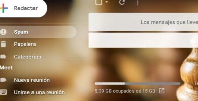 ¿Por qué se llama spam?