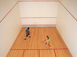 ¿Por qué se llama squash?