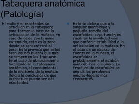 ¿Por qué se llama tabaquera anatómica? ¿Por qué se llama tabaquera anatómica?