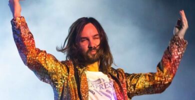 ¿Por qué se llama Tame Impala? ¿Por qué se llama Tame Impala?