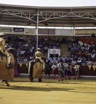 ¿Por qué se llama taurina?