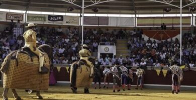 ¿Por qué se llama taurina? ¿Por qué se llama taurina?