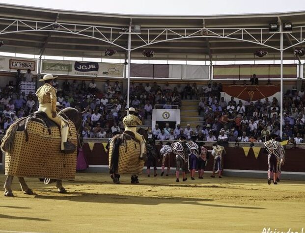 ¿Por qué se llama taurina? ¿Por qué se llama taurina?