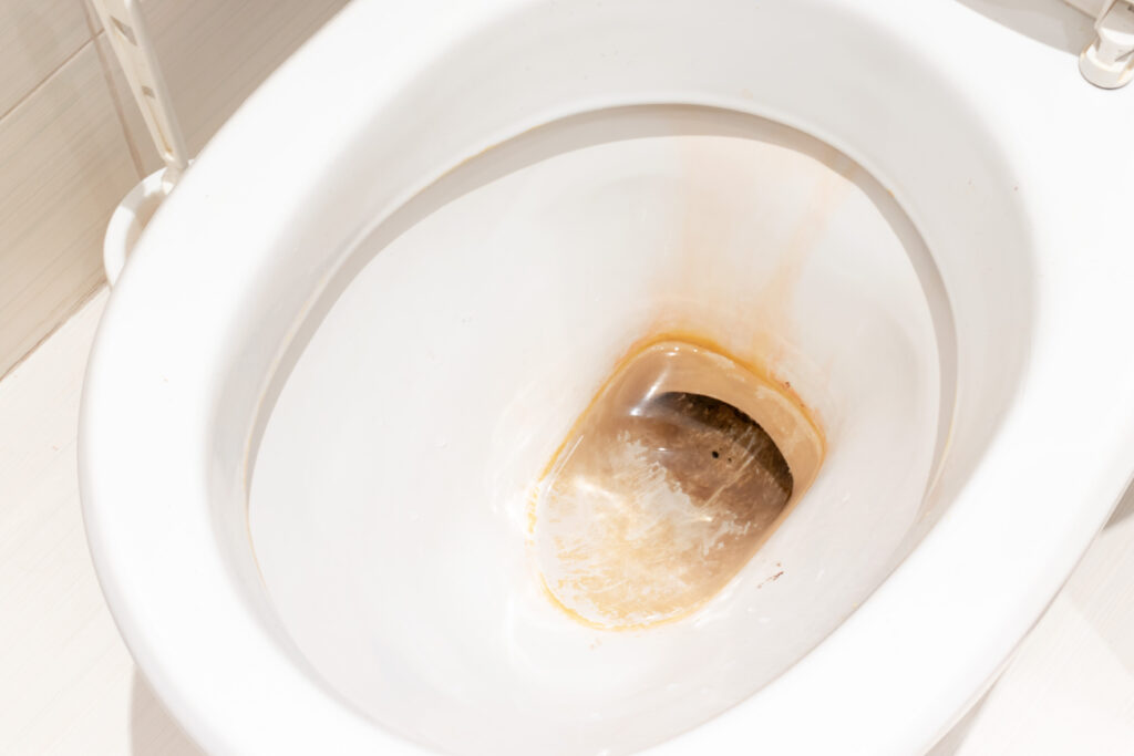¿Por qué se llama taza del water? ¿Por qué se llama taza del water?