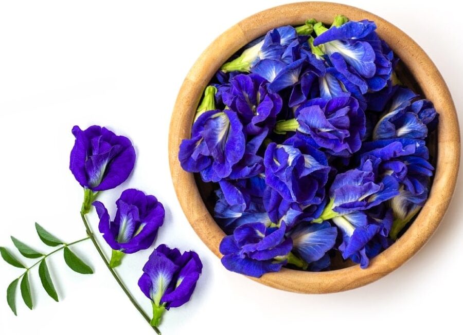 ¿Por qué se llama té azul? ¿Por qué se llama té azul?