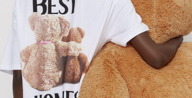 ¿Por qué se llama Teddy Bear?