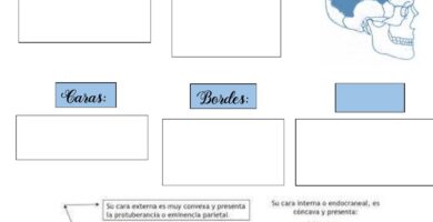 ¿Por qué se llama temporal? ¿Por qué se llama temporal?