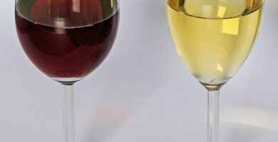 ¿Por qué se llama Tempranillo? ¿Por qué se llama Tempranillo?