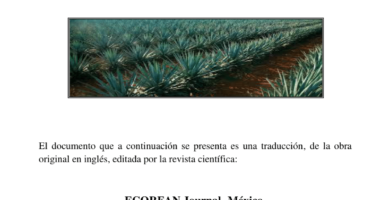 ¿Por qué se llama tequila? ¿Por qué se llama tequila?