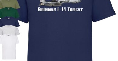 ¿Por qué se llama Tomcat al F-14? ¿Por qué se llama Tomcat al F-14?