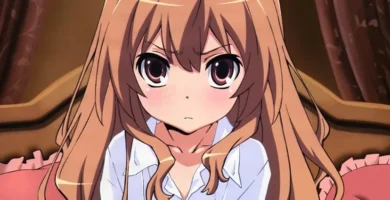 ¿Por qué se llama Toradora? ¿Por qué se llama Toradora?