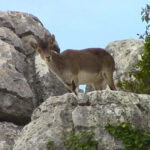 ¿Por qué se llama Torcal de Antequera?