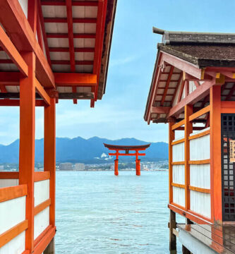 ¿Por qué se llama torii?