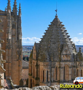 ¿Por qué se llama Torre Mocha?