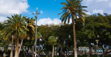 ¿Por qué se llama Triana Park? ¿Por qué se llama Triana Park?