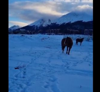 ¿Por qué se llama Ushuaia?
