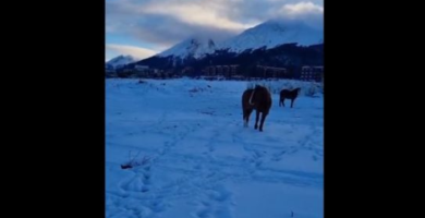 ¿Por qué se llama Ushuaia? ¿Por qué se llama Ushuaia?