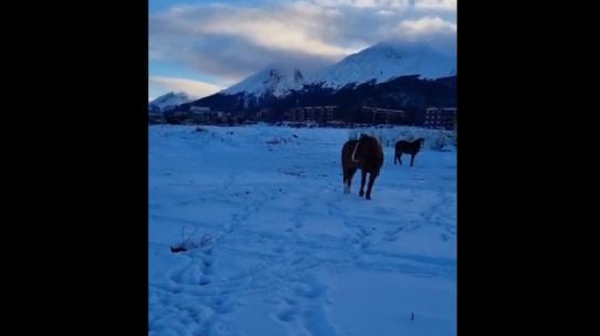 ¿Por qué se llama Ushuaia? ¿Por qué se llama Ushuaia?