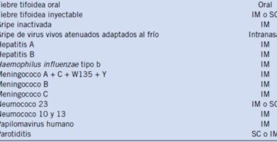 ¿Por qué se llama vacuna? ¿Por qué se llama vacuna?