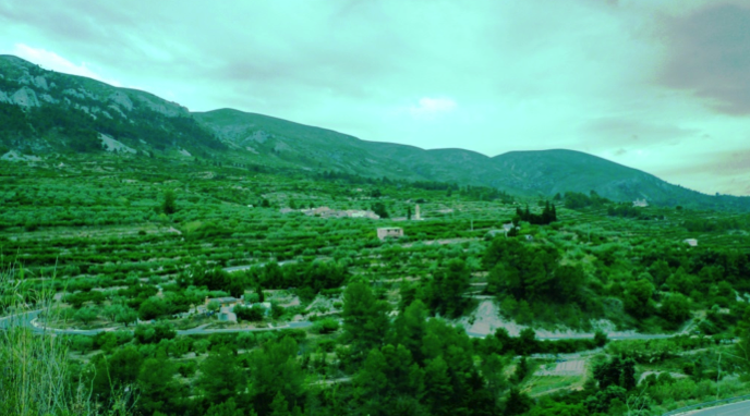 ¿Por qué se llama Vall de Gallinera? ¿Por qué se llama Vall de Gallinera?