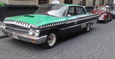¿Por qué se llama vía al transporte raíz?