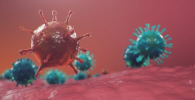 ¿Por qué se llama virus? ¿Por qué se llama virus?