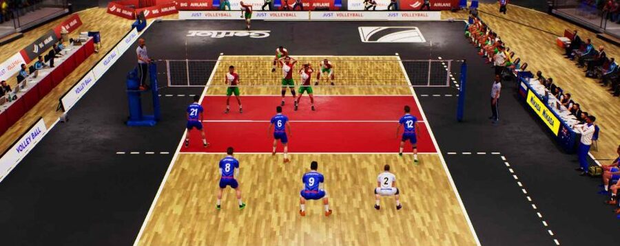 ¿Por qué se llama voleibol? ¿Por qué se llama voleibol?