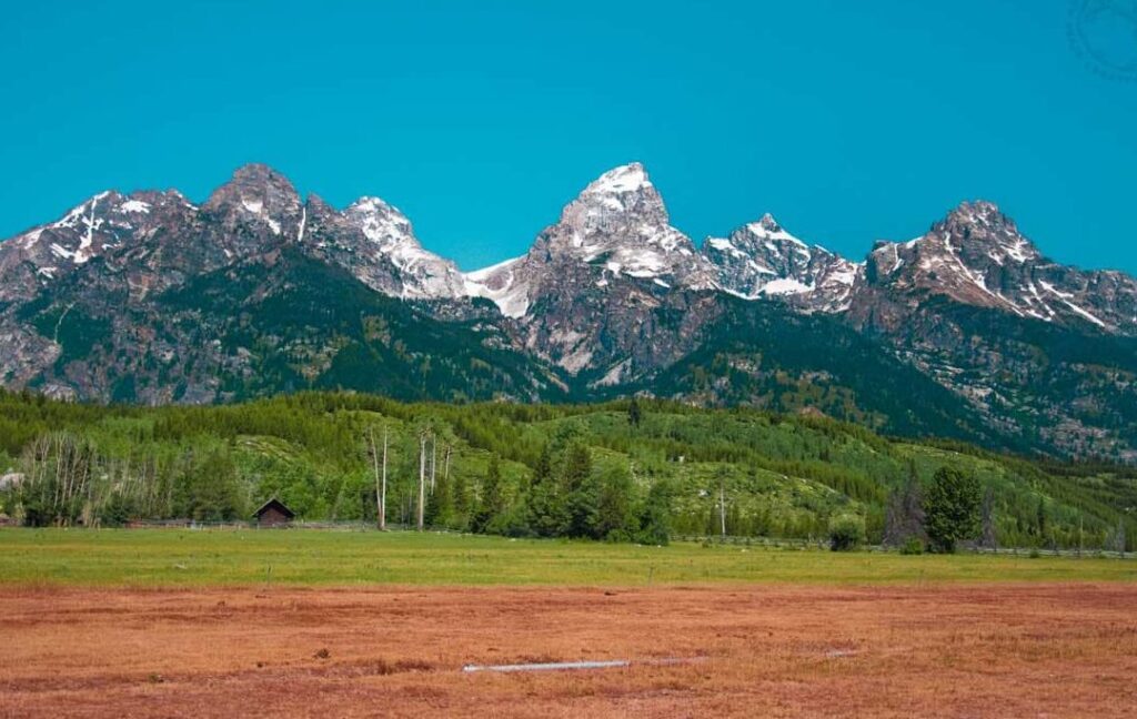 ¿Por qué se llama Yellowstone? ¿Por qué se llama Yellowstone?